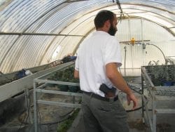 Greenhouse in Bet Hagai, Israel