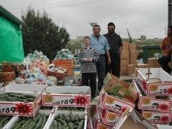 Volunteers with boxes of food for distribution