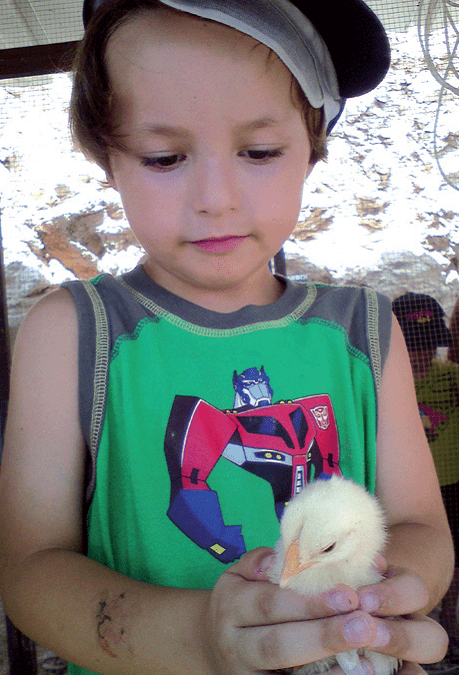 All God’s Creatures Great and Small in Nofei Prat