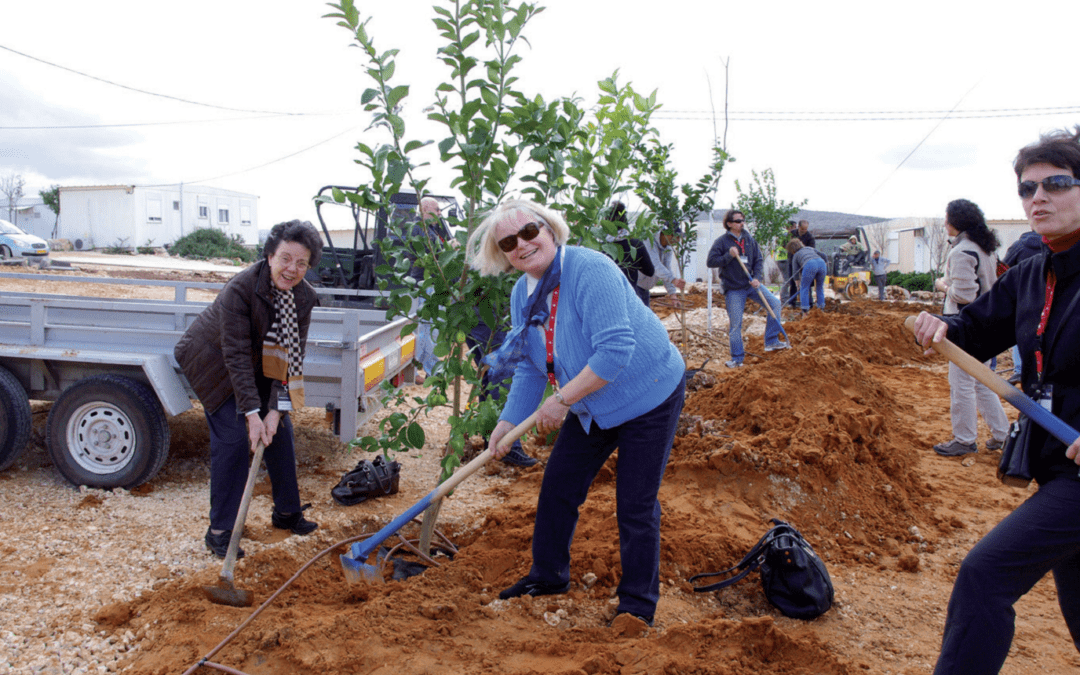 Only God Can Make a Tree