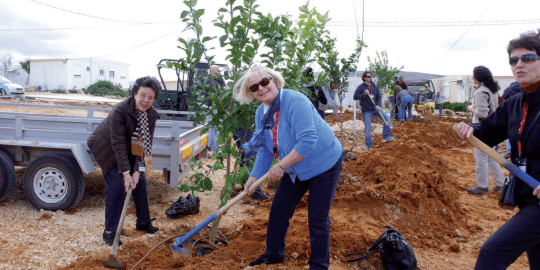 planting trees