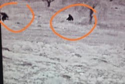 Terrorists caught in the act by Rechalim’s thermal imaging camera