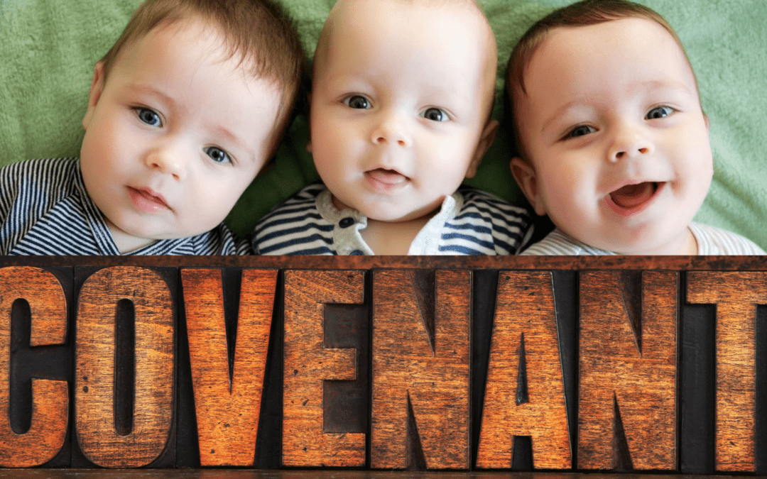 Reflections on a New Year, a New Baby and COVID