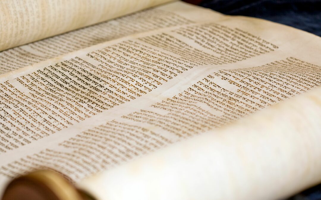 An Amazing Bible Study Experience