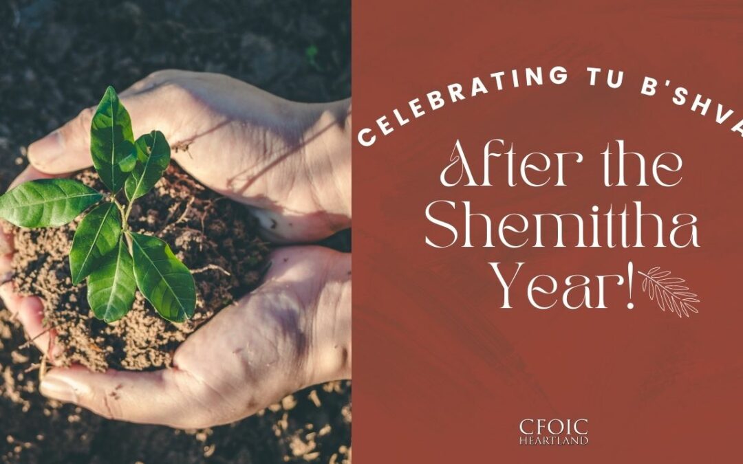 Celebrating Tu B’Shvat after the Shemittah year!