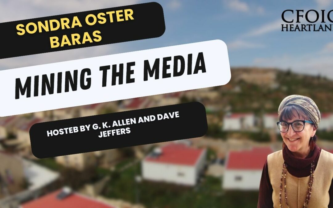 Sondra Baras guest on Mining the Media podcast