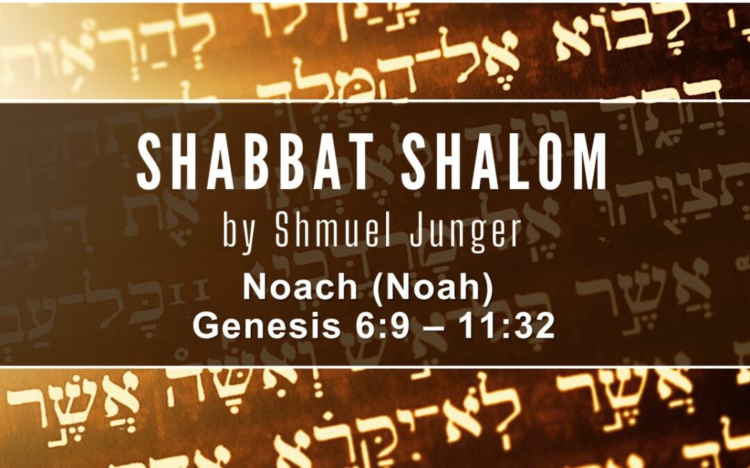 Noach (Noah) Genesis 6:9 – 11:32
