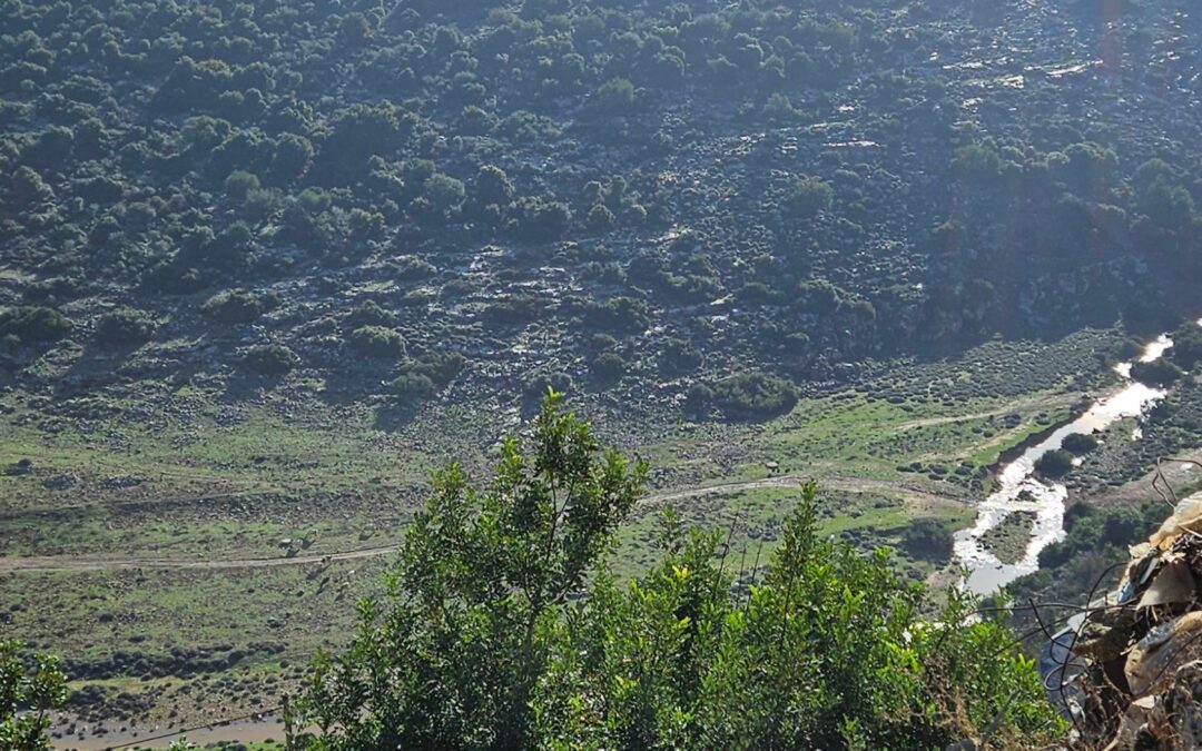 Ordinary Life in The Midst of War