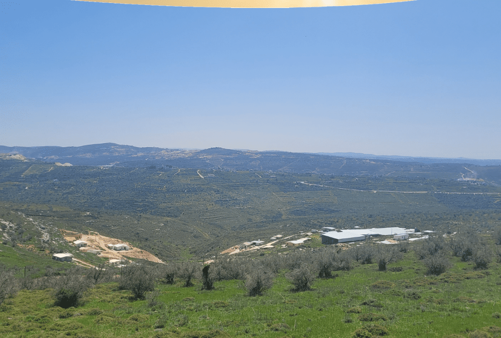 An Eye on Zion: Havat Gilad