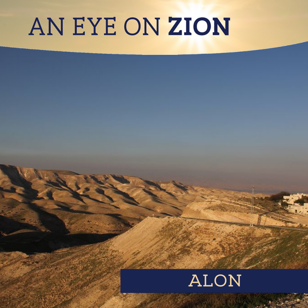 An Eye on Zion Alon
