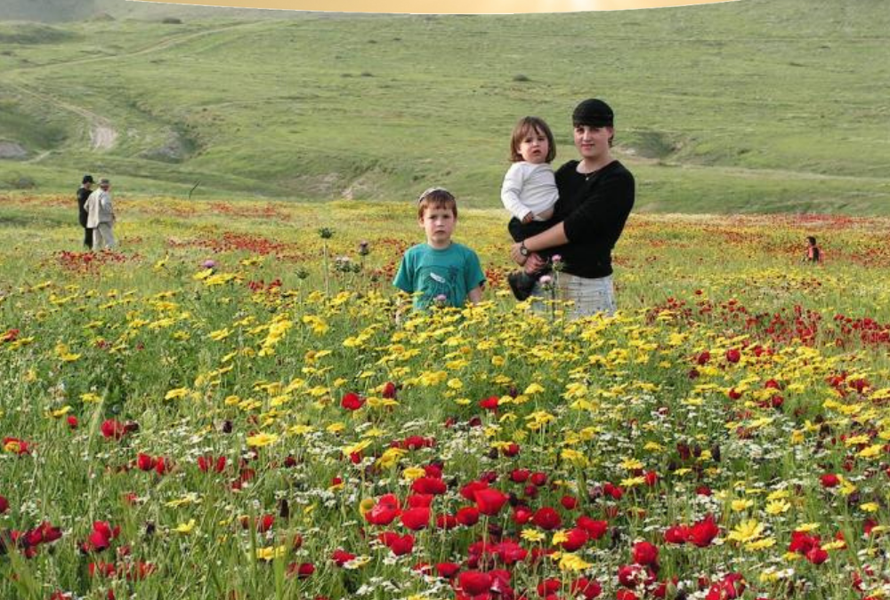 An Eye on Zion: Jordan Valley