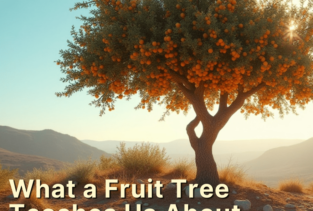 Shoftim – Deuteronomy 16:18 – 21:9