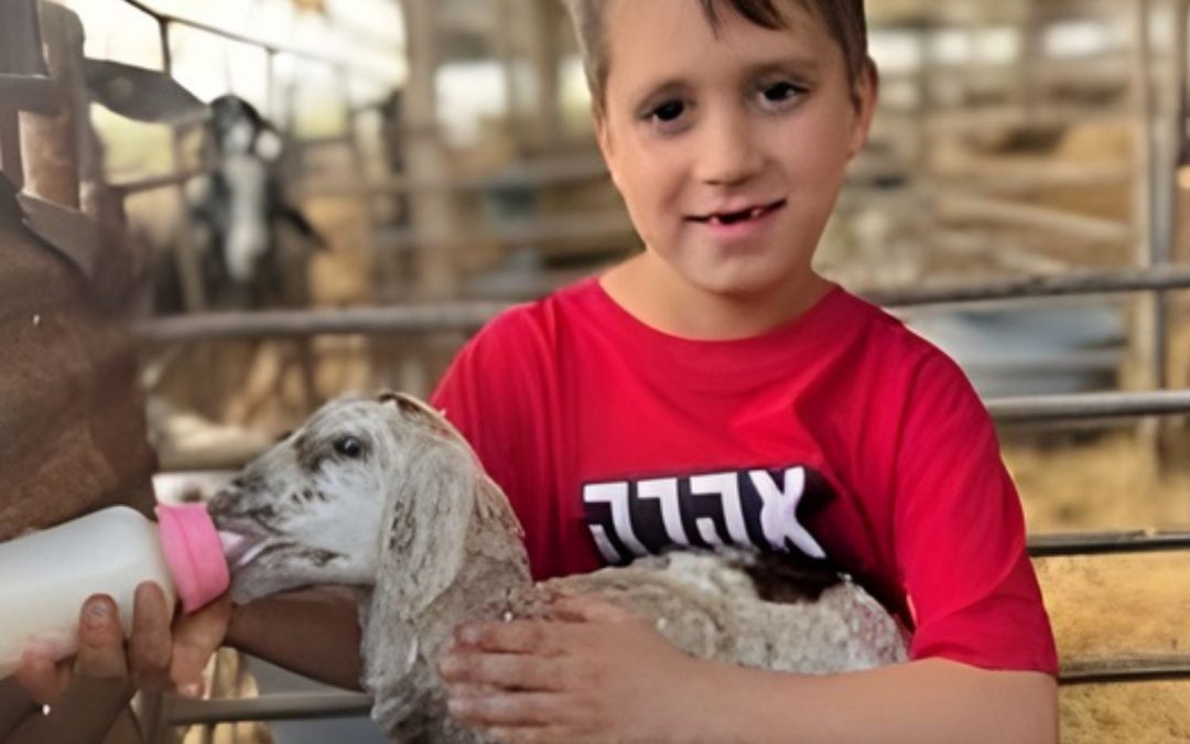 An Eye on Zion: Ro’i