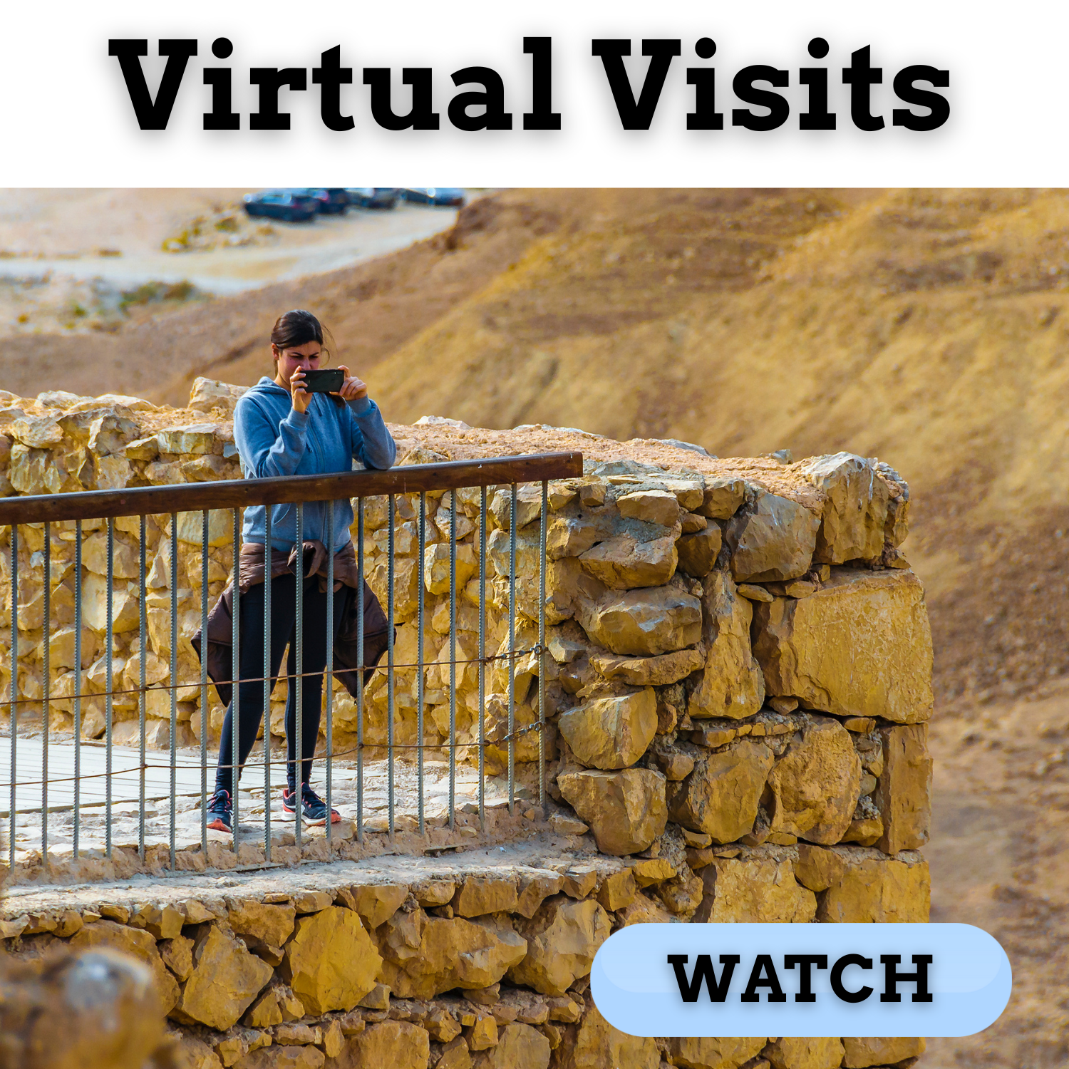 Virtual Visits