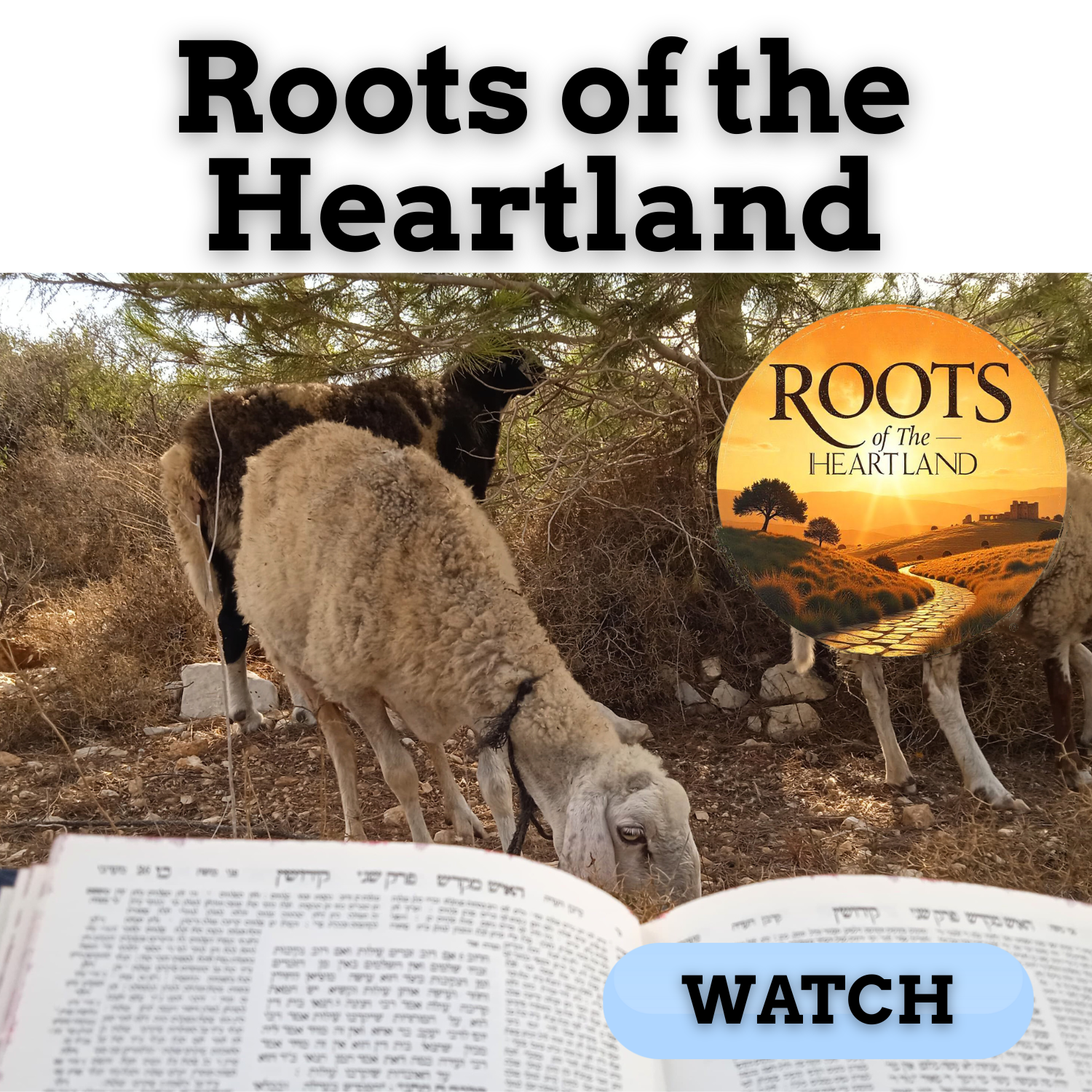 Roots of the Heartland