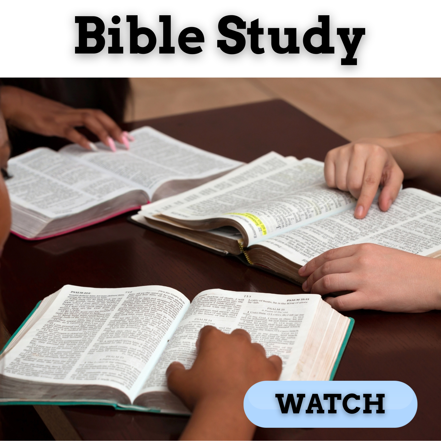 bible Study