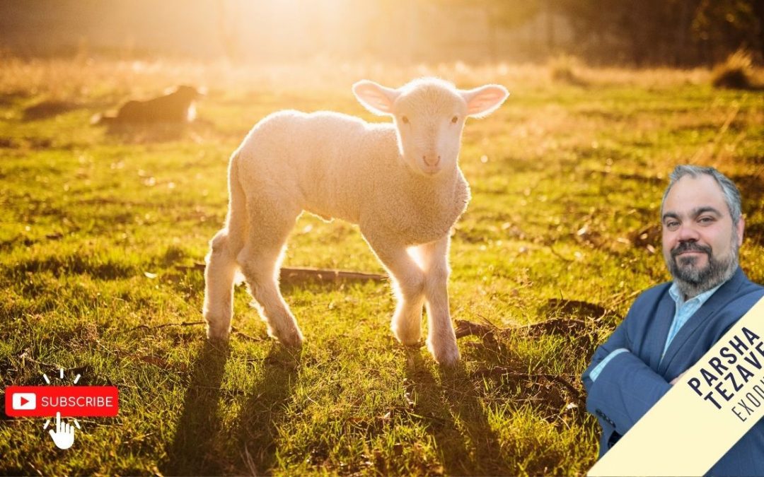 Tetzaveh | Exodus 27:20 – 30:10