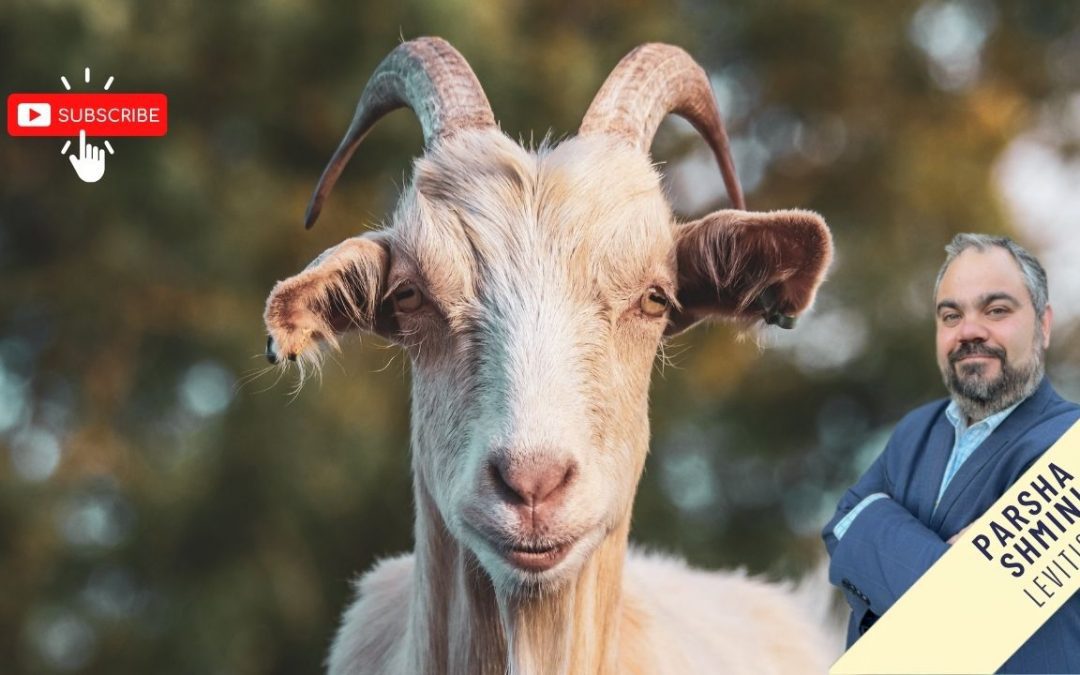 Snakes, Goats and Keeping Kosher at the Ends of the Earth