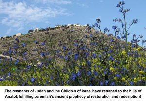 Anatot An eternal symbol of hope and redemption hills of Anatot