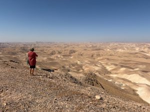 REBUILDING THE HILLS OF JUDEA Judean Desert
